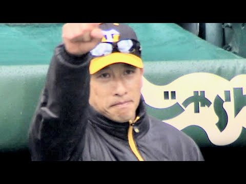 映画館が甲子園に!/映画『阪神タイガース THE MOVIE~猛虎神話集〜』特報