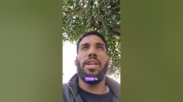 My Top 6 Flutter Freelance Habits