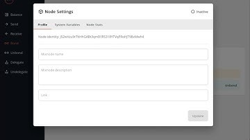 View and edit mix node settings using the Nym wallet