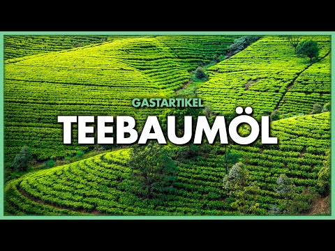 Video: 14 Möglichkeiten, Teebaumöl zu verwenden