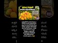 #Mango #MangoLover #MangoSeason #Malihabad #MangoCapital #DasheriMango #FruitLovers🍋🥭
