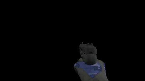 FN Five-seveN Reload Animation