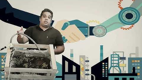 Huerta con sistema automatizado de riego con Arduino