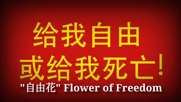 自由花 - Flower of Freedom (Cantonese Lyrics & English Translation) - DayDayNews