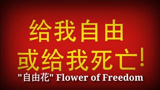 自由花 - Flower of Freedom (Cantonese Lyrics & English Translation)