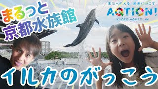 【まるっと京都水族館】梅小路公園内の京都水族館に行って「イルカのがっこう」みてきたよ✨ screenshot 2