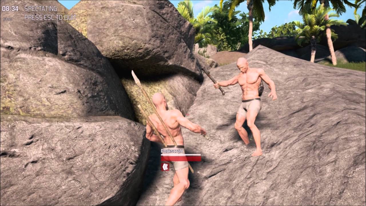 So The Culling Decided To Add Private Servers...