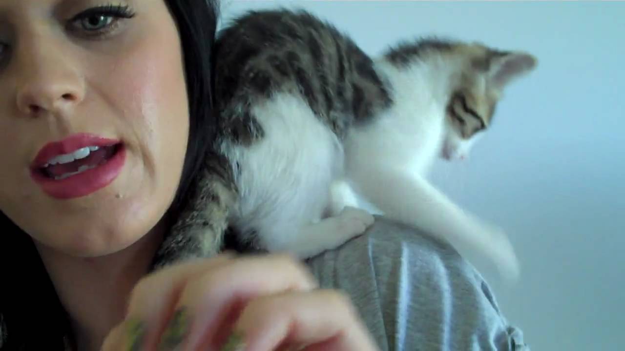 Katy Perry video to Faith Pruden.MP4