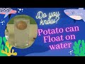 Density of Water - Experiment with Water + salt + Potato