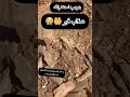 عذاب قبر