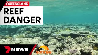 Coral danger: mass bleaching event sweeping Great Barrier Reef | 7 News Australia