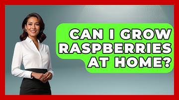 Can I Grow Raspberries At Home? - The Midwest Guru