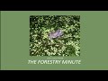 How to identify frogs by their call