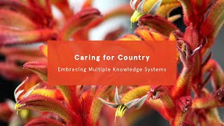 Caring For Country Embracing Multiple Knowledge Systems
