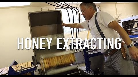 Honey Extracting