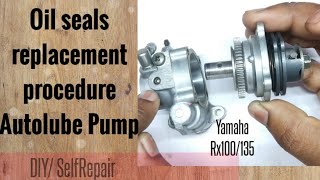 How to change oilseal & service the 2T oil pump| Rx100/135 - DETAILED