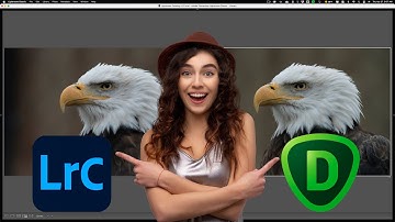 Comparison Topaz Denoise AI vs Lightroom Denoise AI