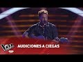 Braulio Assanelli - "Tanto" - Pablo Alborán - Audiciones a Ciegas - La Voz Argentina 2018