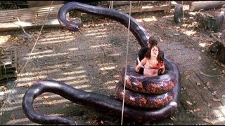 People that are Hunted by Snakes | Most Biggest Snake in the World | Most Big Snake in the World