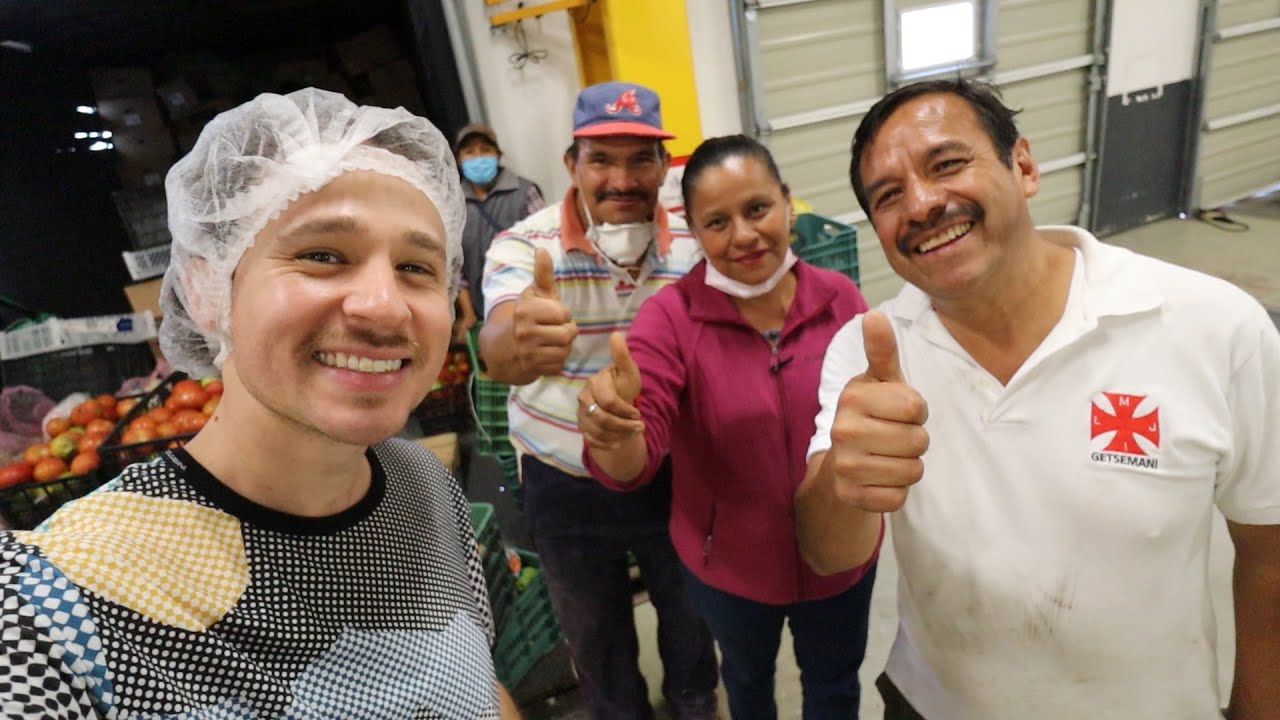 ¿Qué pasa con la comida que desperdiciamos?   | Banco de Alimentos