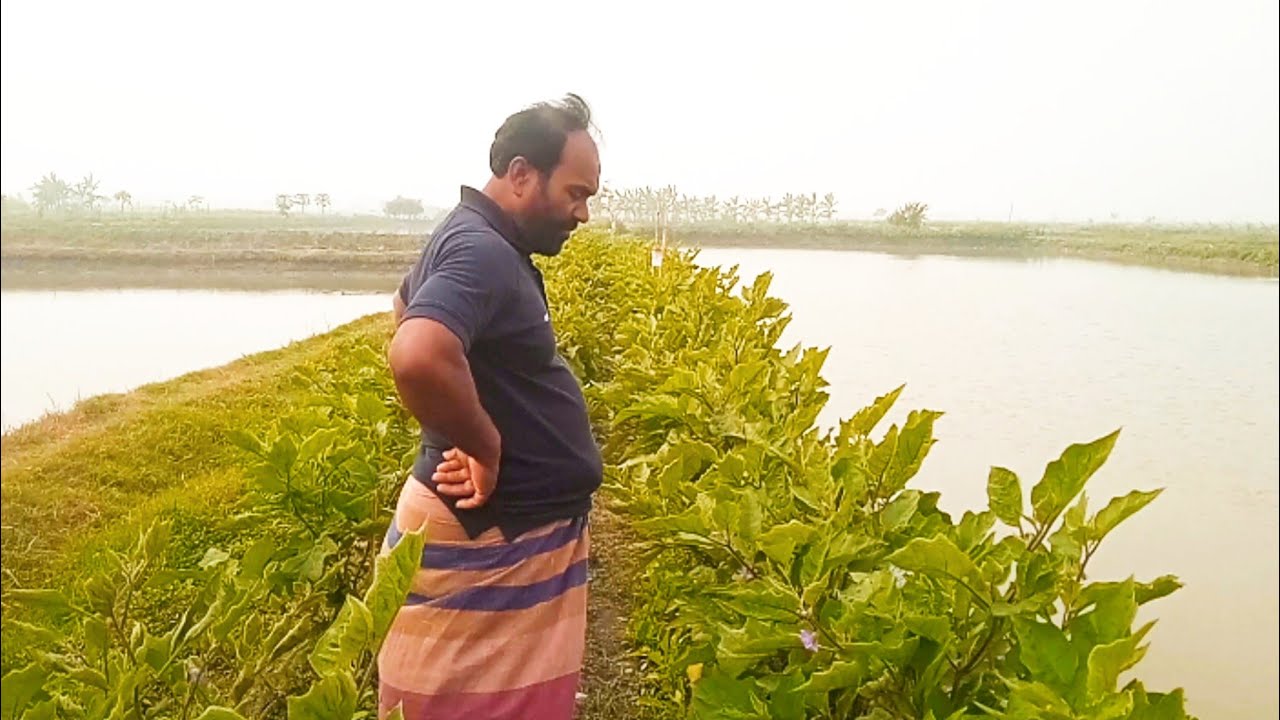 Masallah amader gherer siter sobji || My dayli volg ||