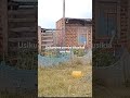 Ebu Msikize Simba Alivyo Ambia Wtoto Akiwa Amelewa Ebu Msikize Simba Alivyo Ambia Wtoto Akiwa Amelewa