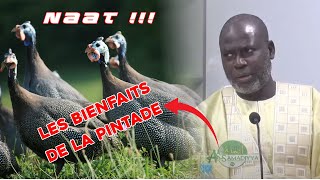 EN DIRECT PAJUM COSSAN AK EL.HADJ MALICK GUEYE  Les bienfaits de la pintade