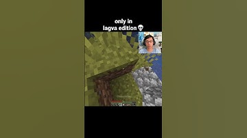 Minecraft Lagva Edition Moment
