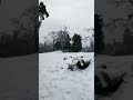 Dailylife #paris#snow #winter