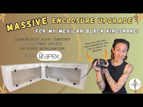 Epic Upgrade for