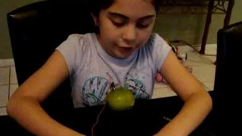 Ana Guardado   Somerset 4 grade   Science Project