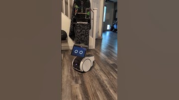 Astro Robot- Goes to the family room. #astro #amazon #astrorobot  #robot