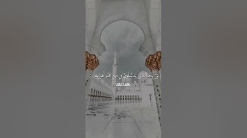 سورة النصر ماهر المعيقلي حالات واتس اب قران كريم Quran Status #quran #qurankarim #قران_كريم