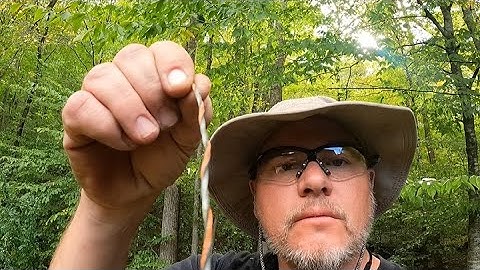 Best String Trimmer Line On Earth 2025 Cluparis