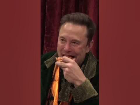 Elon musk and Joe rogan eating pizza part 3 #elonmusk #joerogan # ...