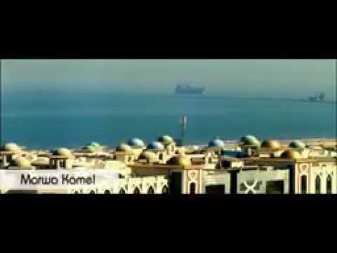 علي بورسعيد ارسي بينا يا سفينه