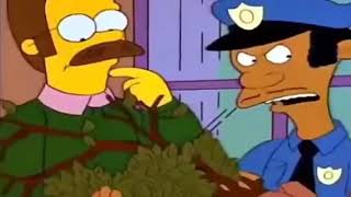 Ned Grita Como Mujer Editado