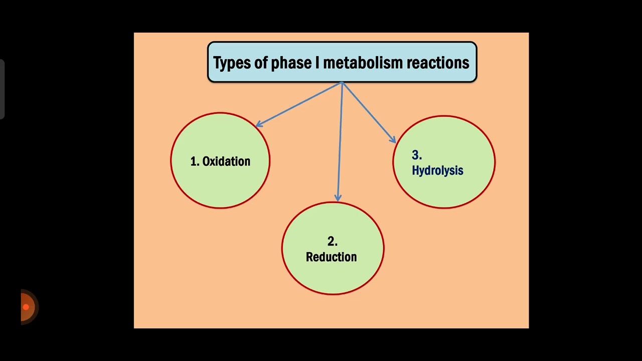 Principles of Toxicology || Xenobiotic metabolism 1