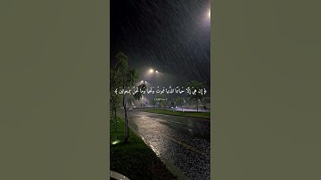 سورة المؤمنون | اجر لي ولكم #قرأن كريم#قرأن كريم