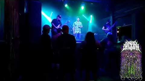 Hinged Dissection Live