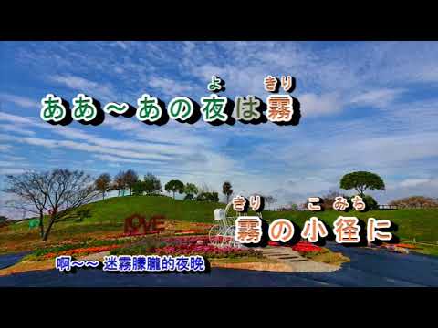 A06-598  からたち日記 市川由紀乃 (台曲/初戀的日記/春假日記)