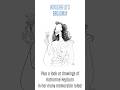 Hirschfeld’s Broadway @ The Kate - Katharine Hepburn Performing Arts Center in #Connecticut on 10/29