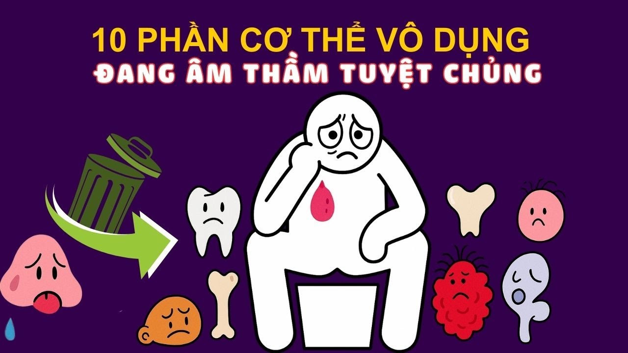 10 Bộ Phận Cơ Thể VÔ DỤNG Sẽ Biến Mất Một Ngày Nào Đó (Và Bạn Chẳng Hề Nhớ Chúng)