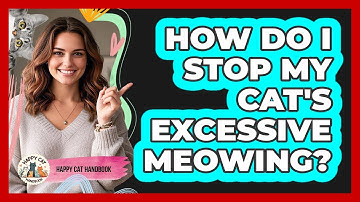 How Do I Stop My Cat