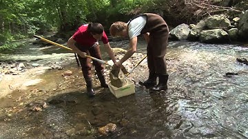 Aquatic Insects as Indicators of Water Quality