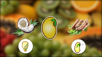 Grade 3 Science: Parts of Plants and their Functions - Flowers, Fruits, and Seeds.