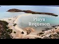 Playa Requeson in Bahia de Concepcion - Is it really the most beautiful beach in Baja?