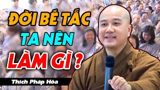 Khi Khó Khăn Hãy Nắm Vững Lời Dạy Này Để Cuộc Sống Được Bình An, Như Ý  Thầy Thích Pháp Hòa