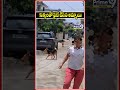 ఈ అమ్మాయి దెబ్బకు పరుగులు తీసిన కుక్కలు 🤣🤣🤣 #dog #dogs #dogshorts #doglife #dogvideos #girl #girls