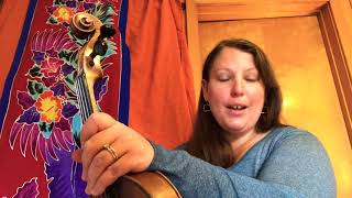 Soldier’s Joy | Practice Video | The American Fiddle Method Vol 2 by Brian Wicklund